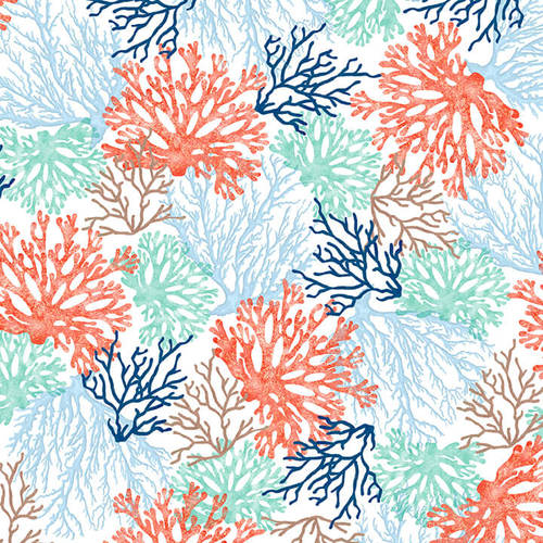 Coastal Dreams Coral on White