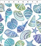 Wonders of the Ocean Shells