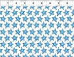 Wonders of the Ocean Star Fish