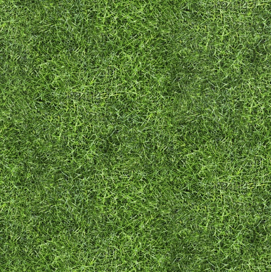 Score Grass Texture