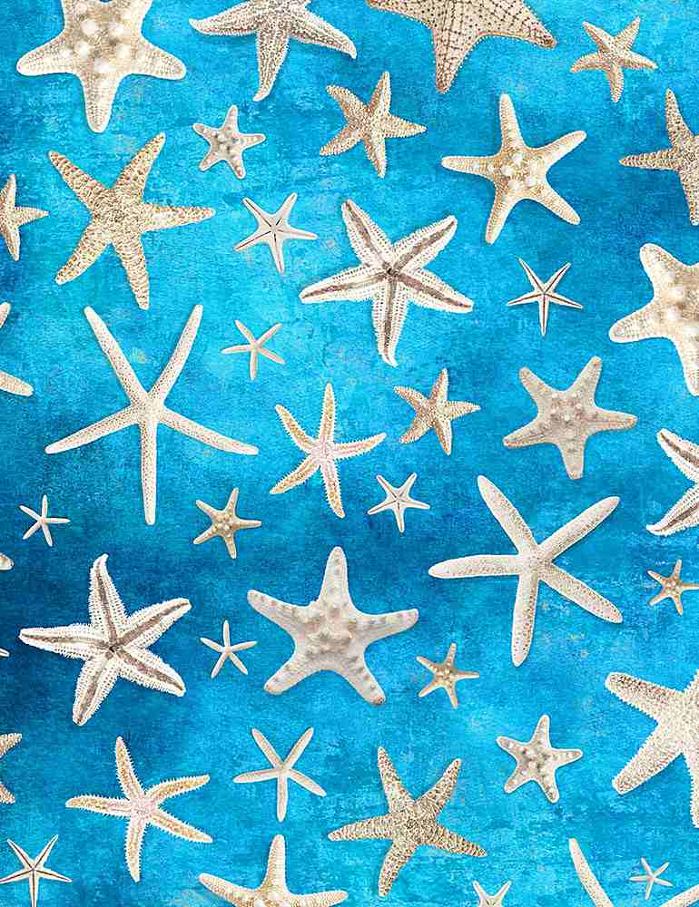 TT   Beach      Blue Starfish
