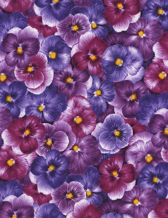 Viola Purple