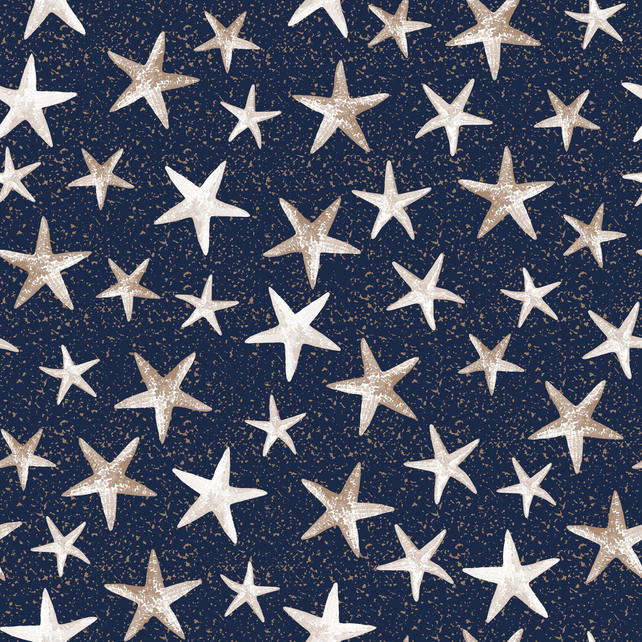 Starfish Navy