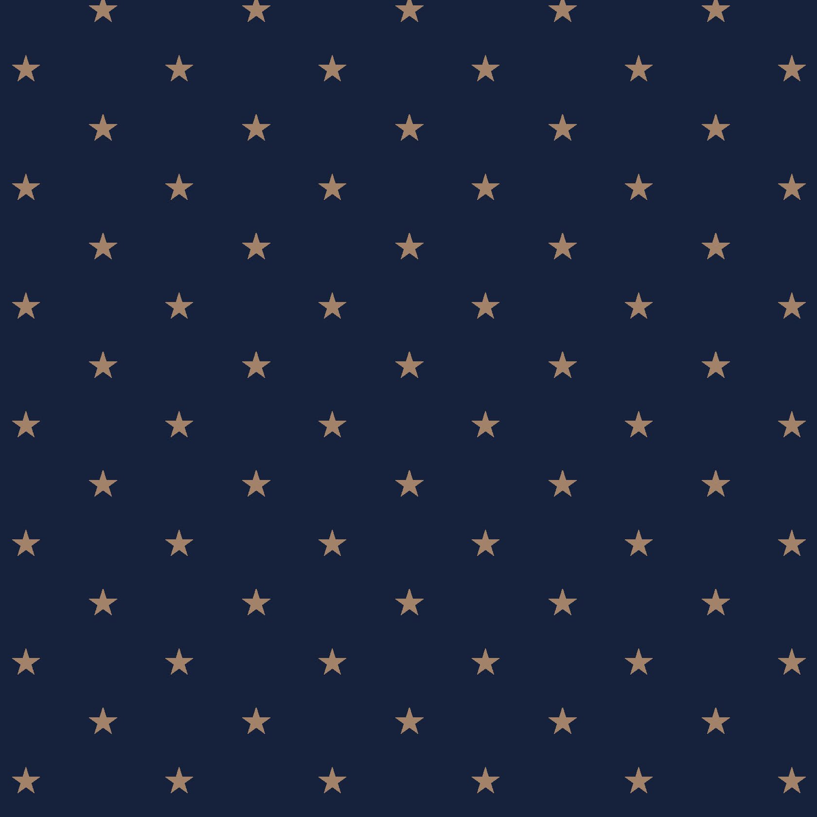 Star Navy